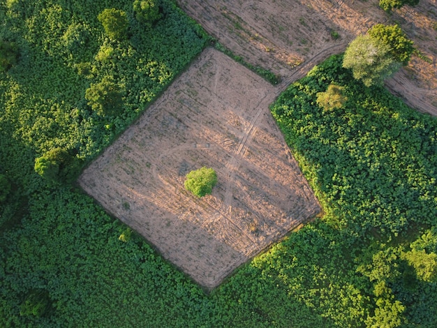 Luftbild von grünen landwirtschaftlichen Parzellen mit unbebautem Land, das darauf wartet, bepflanzt zu werden