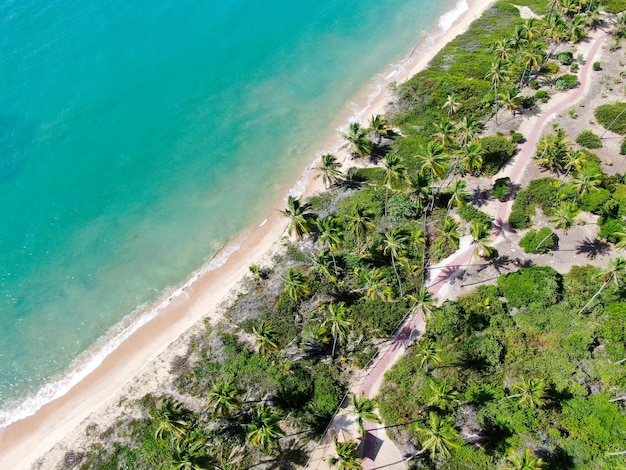 Luftbild von oben auf den tropischen weißen Sandstrand und das türkisfarbene klare Meerwasser mit kleinen Wellen