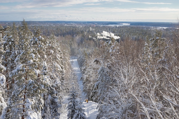 Luftbild von oben auf den verschneiten Wald