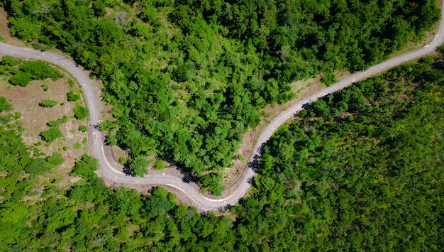 Luftbild von oben auf die Kurvenfahrbahn durchqueren frischen grünen Wald auf dem Berg, Straßenweg auf dem Hügel