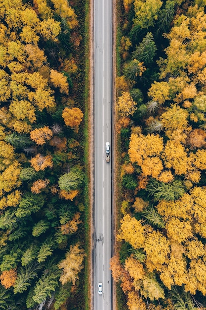 Luftbild von oben auf die Straße mit dem Auto durch den Herbstwald mit bunten Blättern A