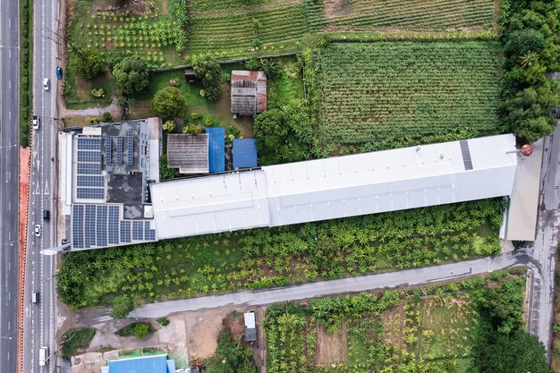 Luftbild von Photovoltaik-Solarmodulen oder Solarzellen, die auf dem Dach des Fabrikgebäudes inmitten der Plantage auf dem Land installiert sind