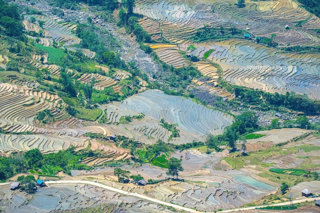 Luftbild von Reisterrassen im Thien Sinh-Tal Y Ty Lao Cai Provinz Vietnam Landschaftspanorama von Vietnams terrassierten Reisfeldern von Thien Sinh Spektakuläre Reisfelder Zusammengesetzte Panoramaaufnahme