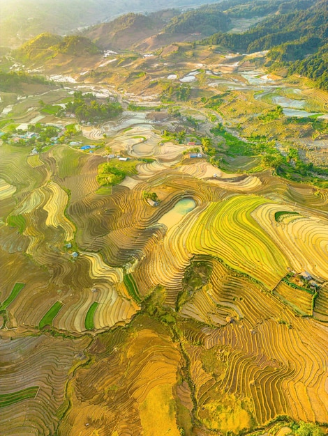 Luftbild von Reisterrassen in der Provinz Ngai Thau Y Ty Lao Cai in Vietnam. Landschaftspanorama von Vietnams terrassierten Reisfeldern von Ngai Thau. Spektakuläre Reisfelder. Genähte Panoramaaufnahme