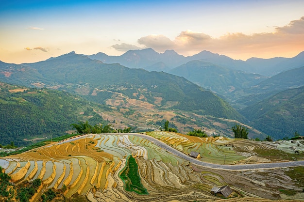 Luftbild von Reisterrassen in der Provinz Ngai Thau Y Ty Lao Cai in Vietnam. Landschaftspanorama von Vietnams terrassierten Reisfeldern von Ngai Thau. Spektakuläre Reisfelder. Genähte Panoramaaufnahme