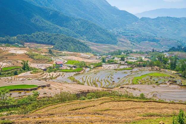 Luftbild von Reisterrassen in der Provinz Ngai Thau Y Ty Lao Cai in Vietnam. Landschaftspanorama von Vietnams terrassierten Reisfeldern von Ngai Thau. Spektakuläre Reisfelder. Genähte Panoramaaufnahme