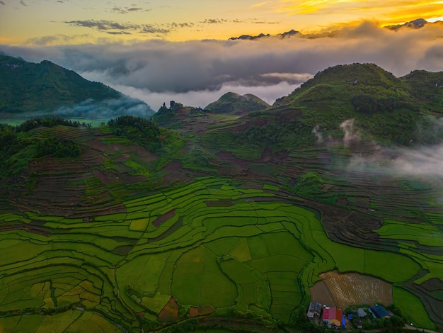 Luftbild von Reisterrassen in der Provinz Quan Ba Ha Giang in Vietnam. Landschaftspanorama von Vietnam. Reisterrassenfelder mit Nebel am Morgen. Spektakuläre Reisfelder. Menschen, die auf Reisfeldern arbeiten