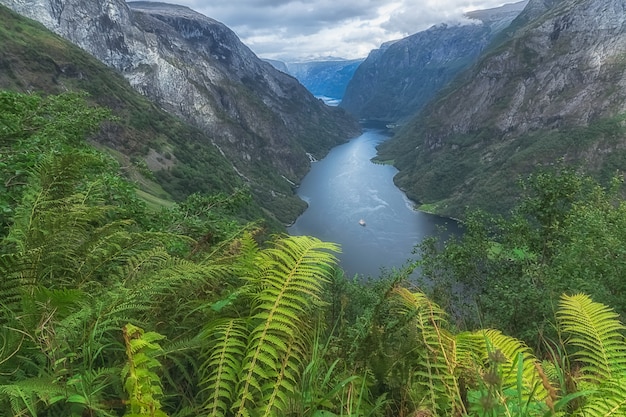 Luftbild von Sognefjord; Norwegen.