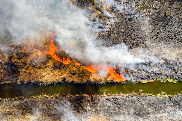 Luftbild von Wildfire auf dem Feld Riesige Rauchwolken