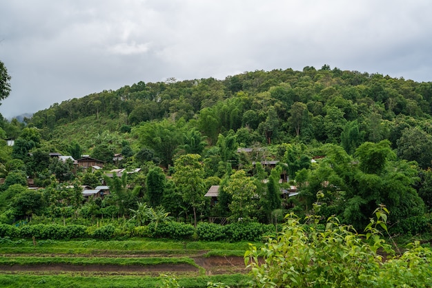 Luftbilder Ein kleines Dorf im Dschungel in Chiang Mai, Thailand.