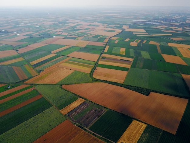 Luftbildfoto der Vogelaugen von der fliegenden Drohne der Felder vor der Ernte im Sommer auf dem Land.