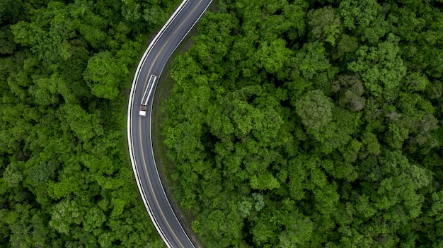 Luftbildstraße, die durch Wald geht