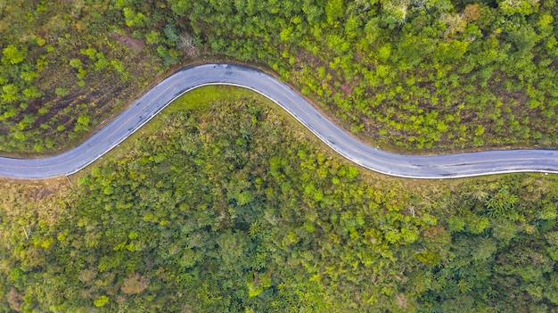 Luftdraufsicht einer Straße im Wald