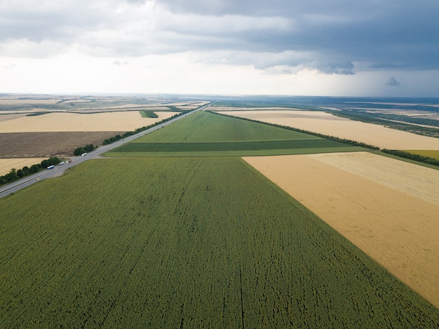 Luftdraufsicht von Brummen zu Sonnenblumen- und Weizenfeldern