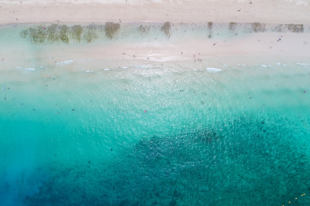 Luftdraufsicht von Meereswogen, von Strand und von felsiger Küstenlinie und von schönem Wald.