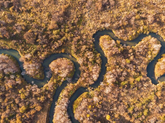 Luftdrohnenansicht der Herbstlandschaft mit Fluss