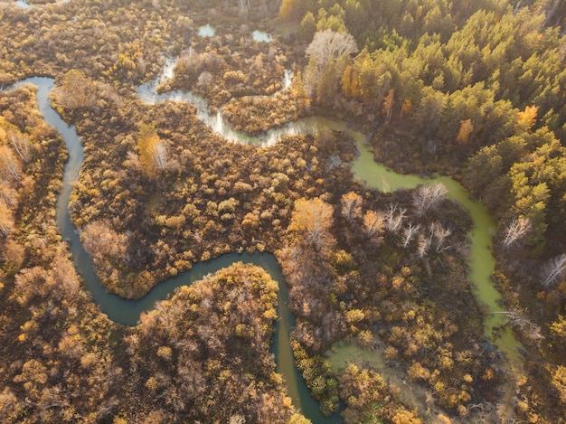 Luftdrohnenansicht der Herbstlandschaft mit Fluss