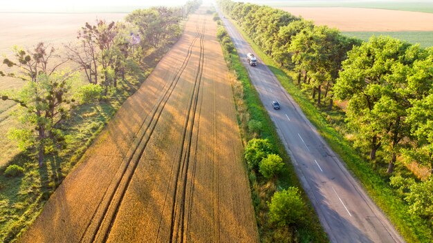 Luftdrohnenansicht der Straße für Autos mit grünen Bäumen und langen Schatten in der Nähe von Weizenfeldern am Morgen