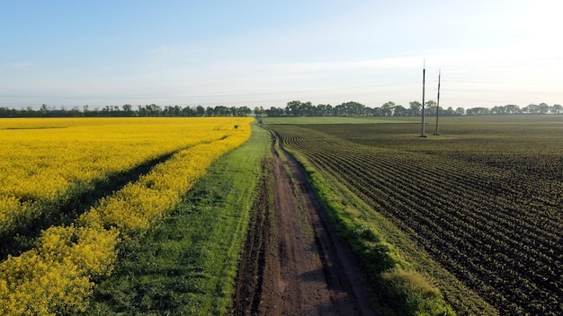Luftdrohnenansicht Flug über die Straße zwischen einem gelb blühenden Rapsfeld und einem gepflügten Saatfeld