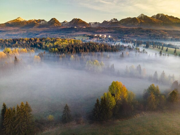 Luftdrohnenansicht über Nebel und Dunst bei Sonnenaufgang im Hochgebirge Herbstbaumlaubfarben