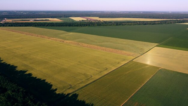 Luftdrohnenansichtsflug über verschiedene gesäte landwirtschaftliche Felder