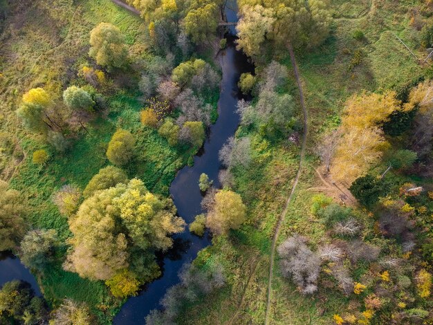 Luftdrohnenaufnahme des Herbstwaldes und des kleinen Flusses an einem sonnigen Tag