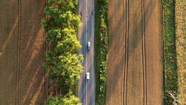 Luftdrohnenflug über asphaltierte Straße mit grünen Bäumen zwischen Weizenfeldern