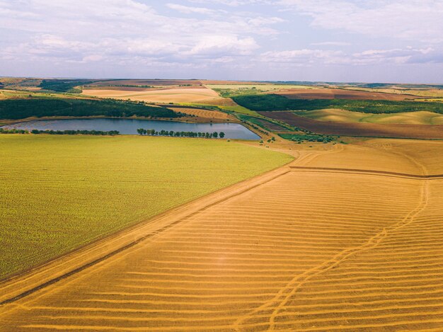 Luftdrohnenfoto der erstaunlichen Landschaft mit Ernten und See, Landwirtschaftskonzept.