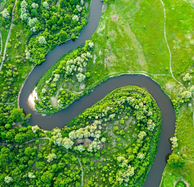 Luftlandschaft des gewundenen Flusses im grünen Feld Draufsicht des schönen Naturhintergrundes von der saisonalen Sommerlandschaft der Drohne mit Kopienraum