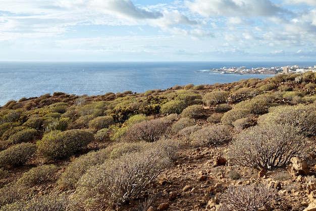 Luftlandschaft. Vulkaninsel Teneriffa.