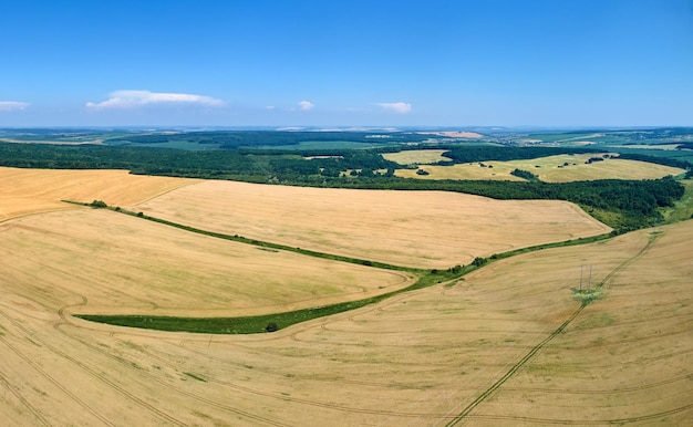 Luftlandschaftsansicht des gelben kultivierten landwirtschaftlichen Feldes mit reifem Weizen am hellen Sommertag