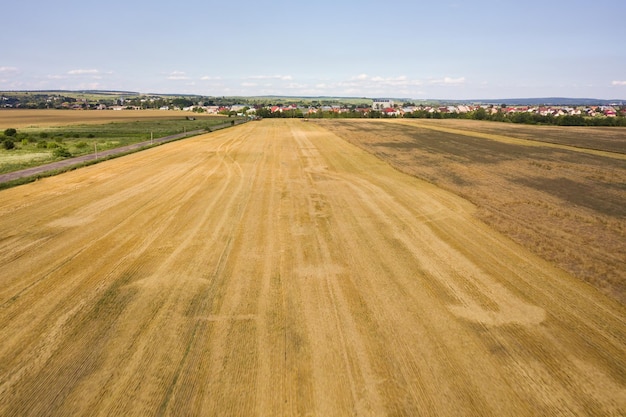 Luftlandschaftsansicht des gelben kultivierten landwirtschaftlichen Feldes mit trockenem Stroh des geschnittenen Weizens nach der Ernte.