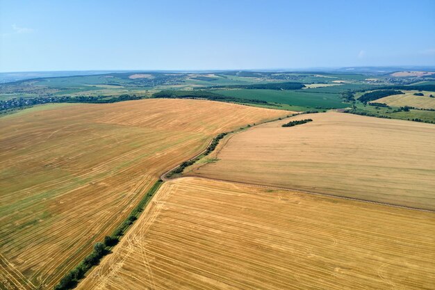 Luftlandschaftsansicht des gelben kultivierten landwirtschaftlichen Feldes mit trockenem Stroh des geschnittenen Weizens nach der Ernte.