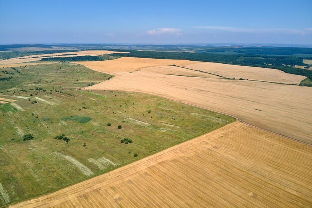 Luftlandschaftsansicht des gelben kultivierten landwirtschaftlichen Feldes mit trockenem Stroh des geschnittenen Weizens nach der Ernte