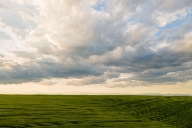 Luftlandschaftsansicht von grünen kultivierten landwirtschaftlichen Feldern mit wachsenden Ernten am hellen Sommertag.