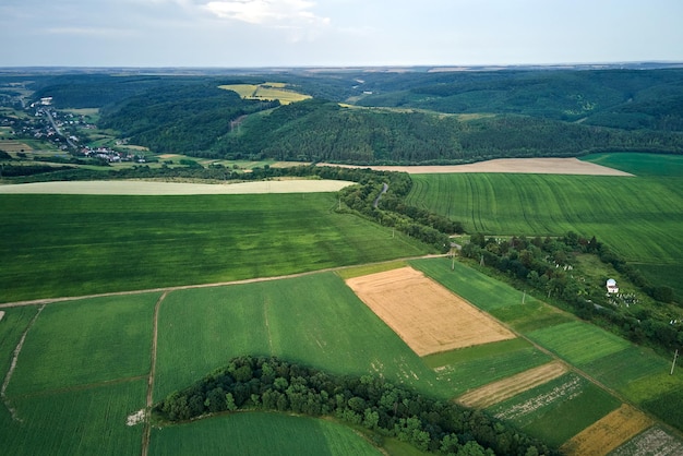 Luftlandschaftsansicht von grünen und gelben kultivierten landwirtschaftlichen Feldern mit wachsenden Ernten am hellen Sommertag