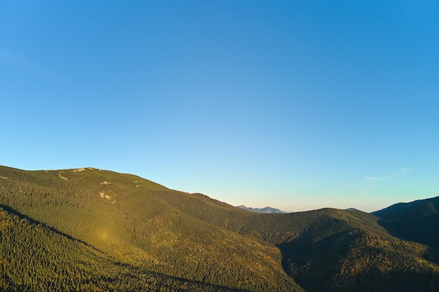 Luftlandschaftsblick auf hohe Gipfel mit dunklen Kiefernwaldbäumen in wilden Bergen