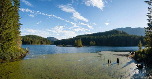 Luftpanoramablick auf einen kanadischen Landschaftssee