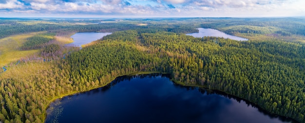 Luftpanoramablick auf Wälder und Seen der Region Karelien, Russland