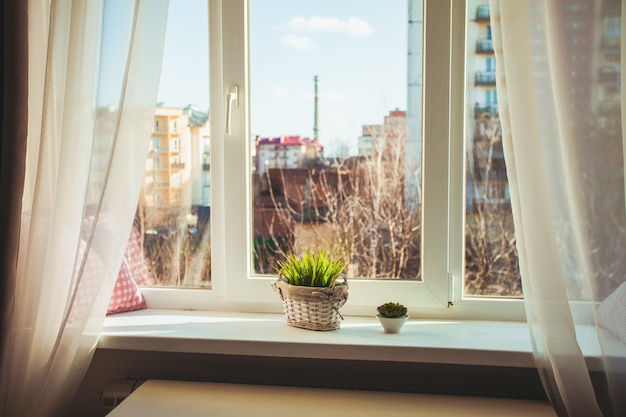 Un lugar acogedor en el alféizar de la ventana con cojines y flores.