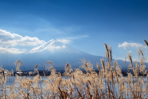 Lugar bonito ao redor do lago kawaguchi com o monte fuji em fundo