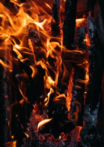 Lugar de churrasco de brasas quentes Recreação ao ar livre perto do fogo