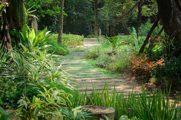 Lugar de descanso, jardim, floresta