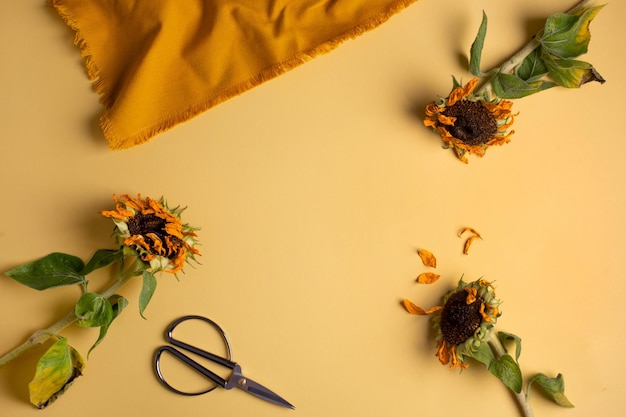 Lugar de fundo de negócios de arte de papel moderno para texto com girassol Fundo amarelo claro Conceito de loja de flores de negócios moderno