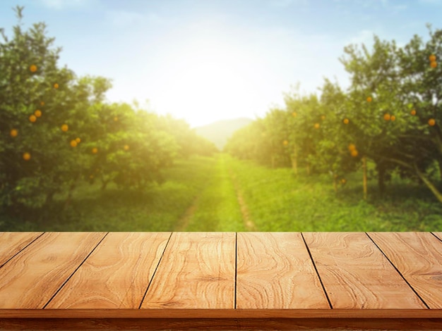 Lugar de mesa de madeira de espaço livre para sua decoração e laranjeiras com frutas à luz do sol