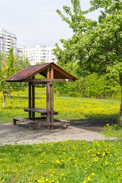 Lugar de piquenique em parque público perto de prédio de apartamentos, prado leão amarelo e árvore de primavera ao redor