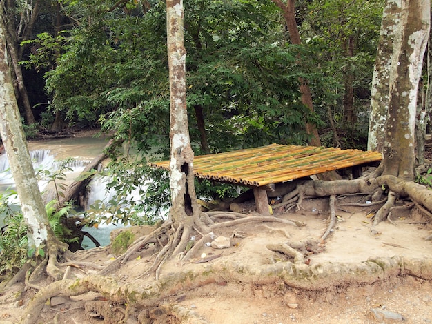 Lugar de piquenique na floresta