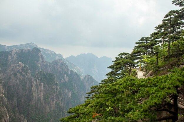 Lugar escénico del paisaje de las Montañas Amarillas de Huangshan Una cadena montañosa en el sur de la provincia de Anhui en el este de China Es Patrimonio de la Humanidad por la UNESCO