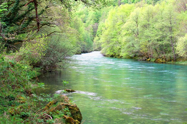 Lugar idílico para curtir a natureza