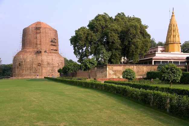 Lugar de nacimiento del budismo Sarnath India